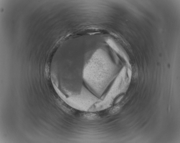 X0000083650669200703121747