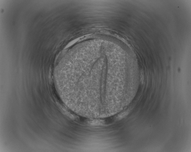 X0000083650670200703121747