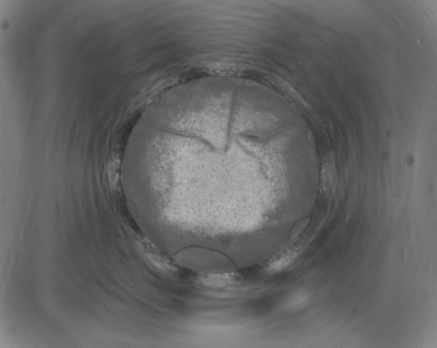 X0000083650671200703121747