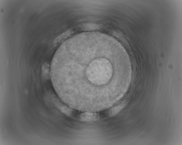 X0000083650672200703121747