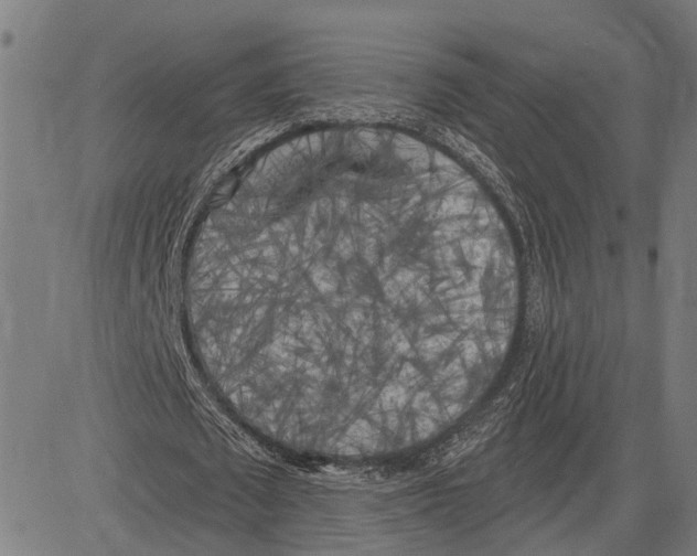 X0000083650673200703121746