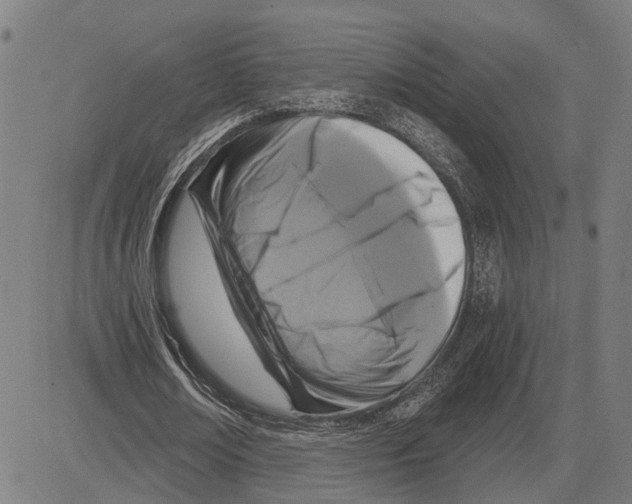 X0000083650674200703121746