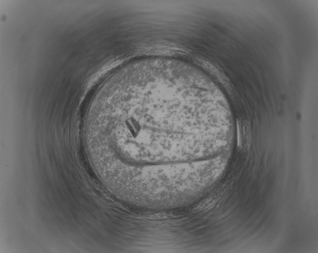 X0000083650675200703121746