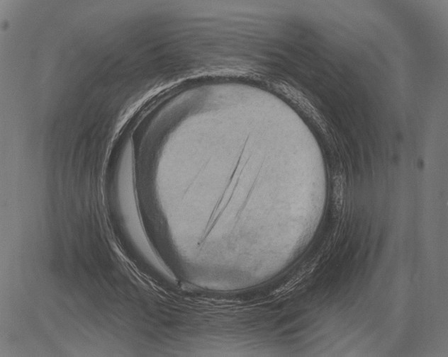 X0000083650676200703121746