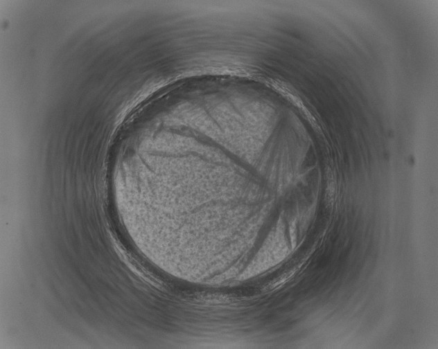 X0000083650677200703121746