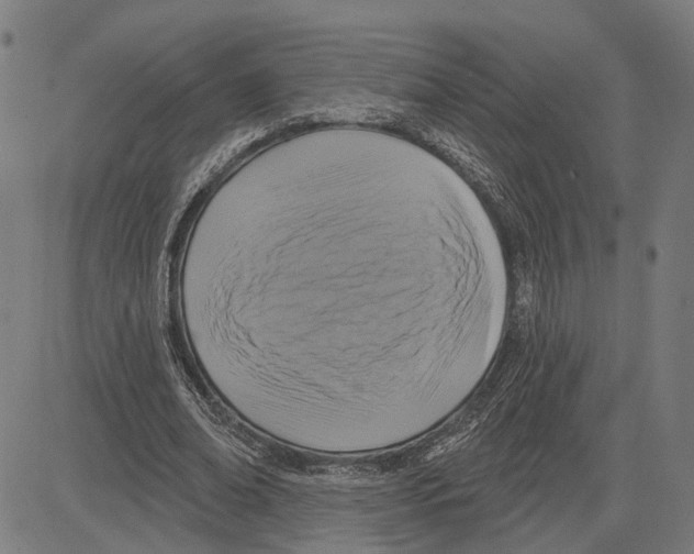 X0000083650678200703121746