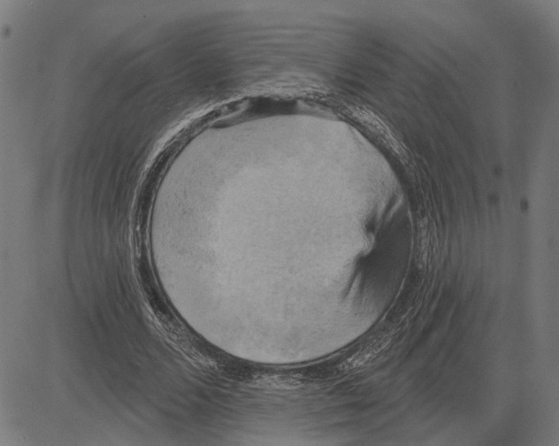 X0000083650680200703121746