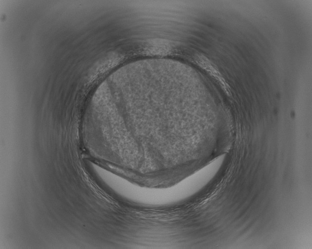 X0000083650681200703121746