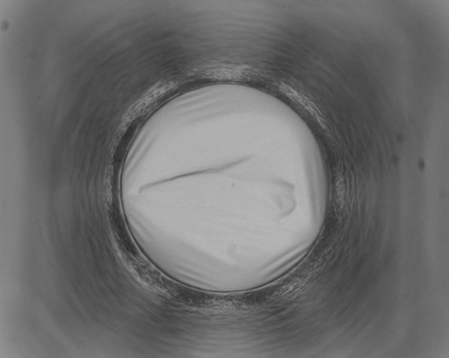 X0000083650682200703121746