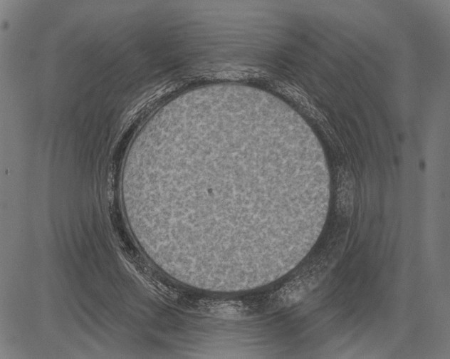 X0000083650683200703121746