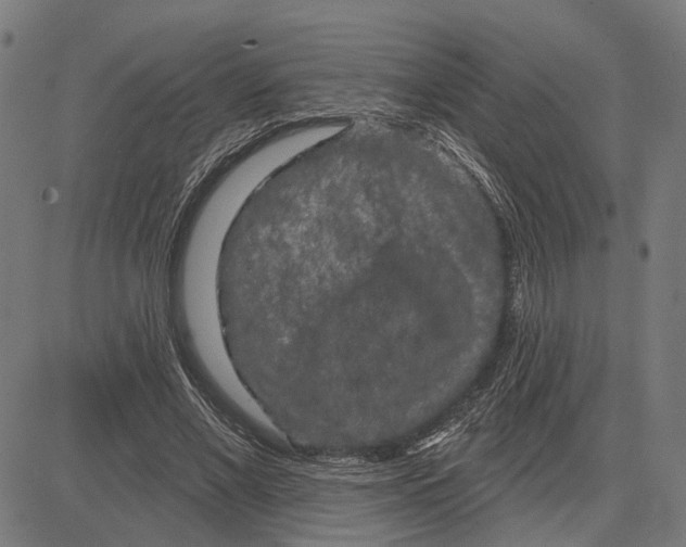 X0000083650685200703121746