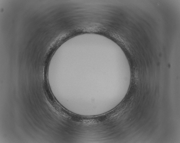 X0000083650686200703121746