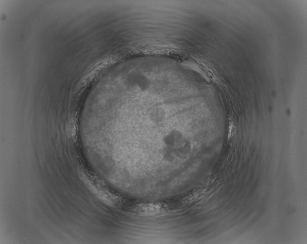 X0000083650687200703121746