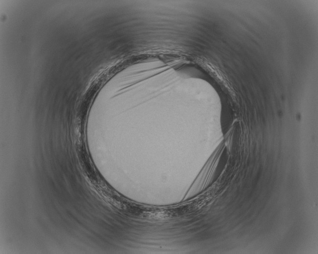 X0000083650688200703121746