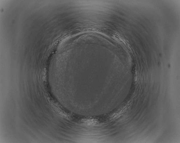 X0000083650689200703121746