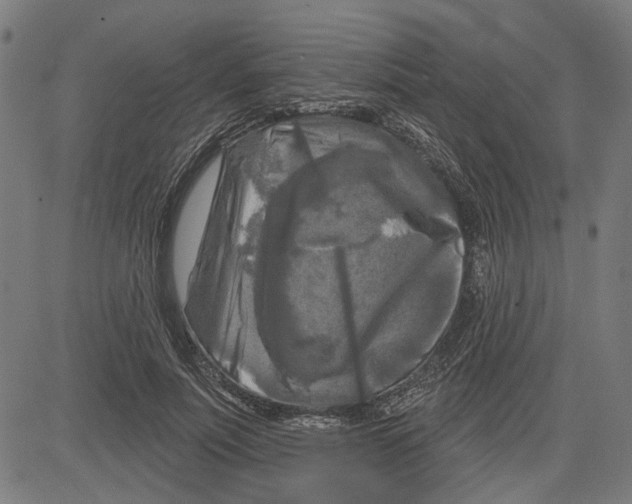 X0000083650691200703121746