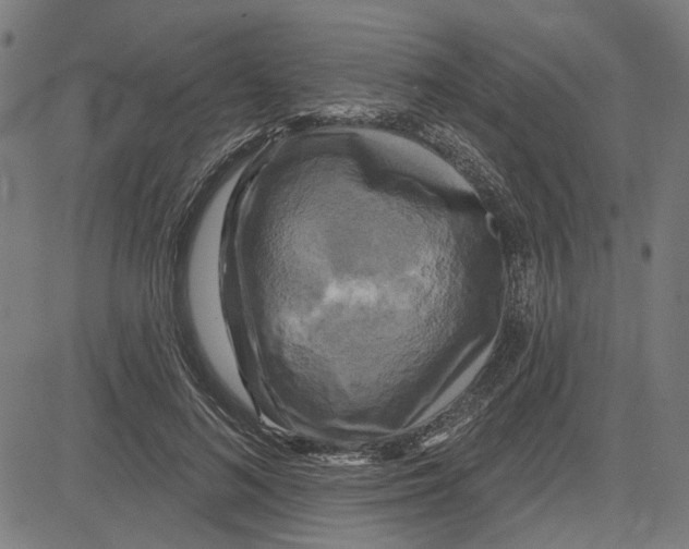 X0000083650692200703121746