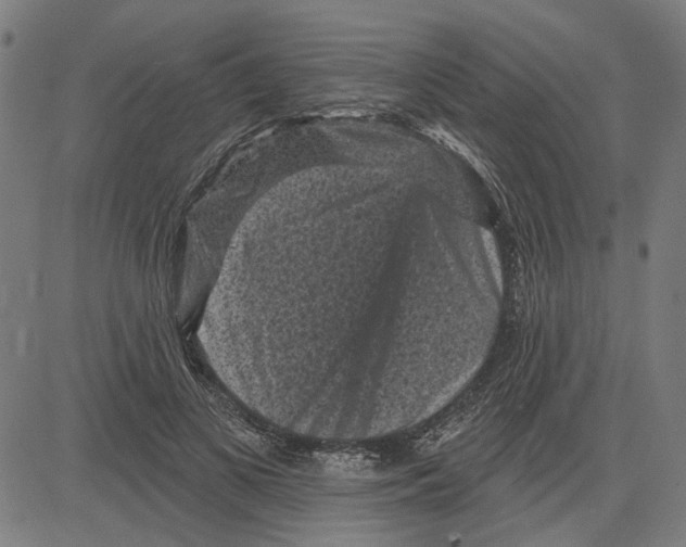 X0000083650693200703121746