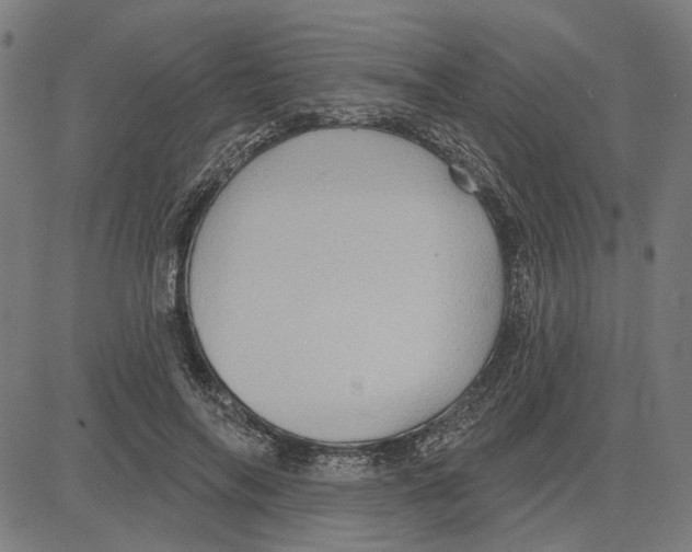 X0000083650694200703121746