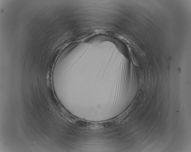 X0000083650696200703121746