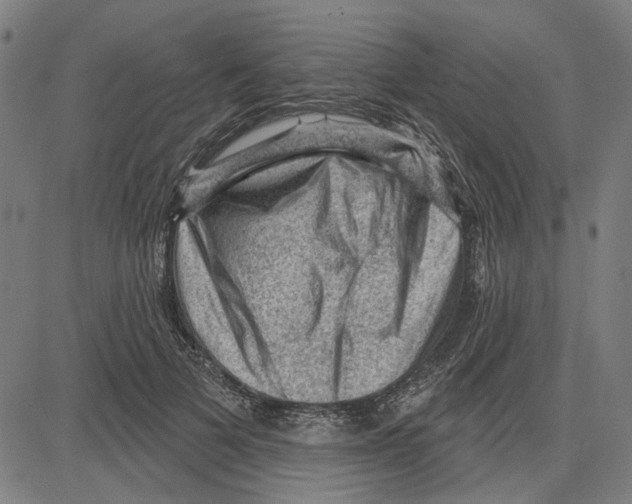 X0000083650697200703121746