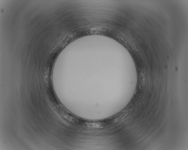 X0000083650698200703121746