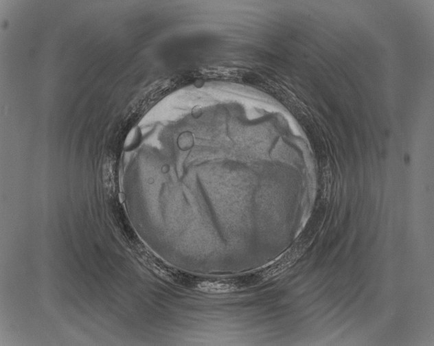 X0000083650699200703121746