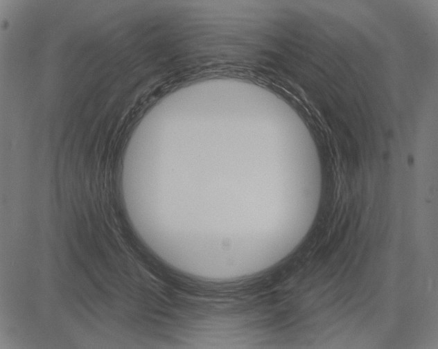 X0000083650701200703121746