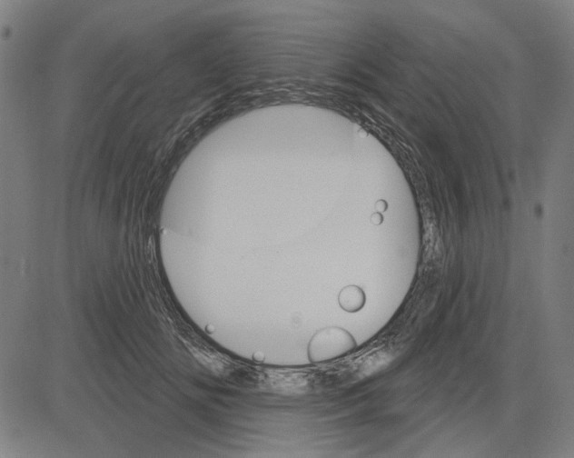 X0000083650702200703121746