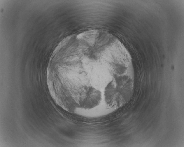 X0000083650703200703121746