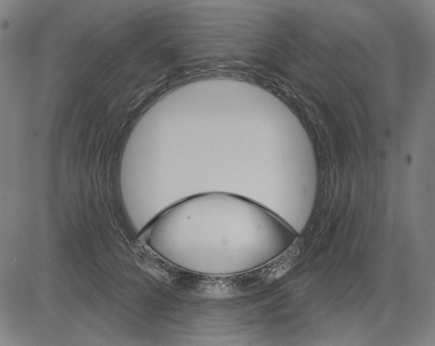 X0000083650704200703121746