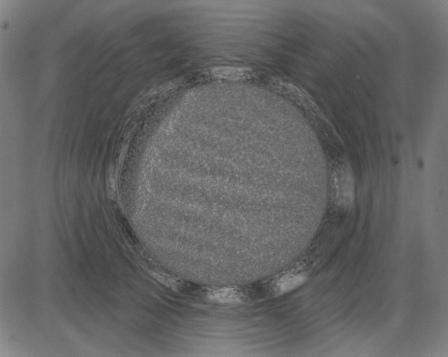 X0000083650705200703121746