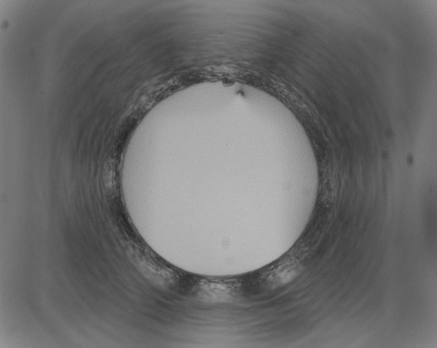 X0000083650706200703121746