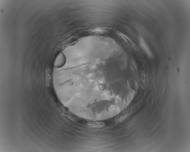 X0000083650707200703121745