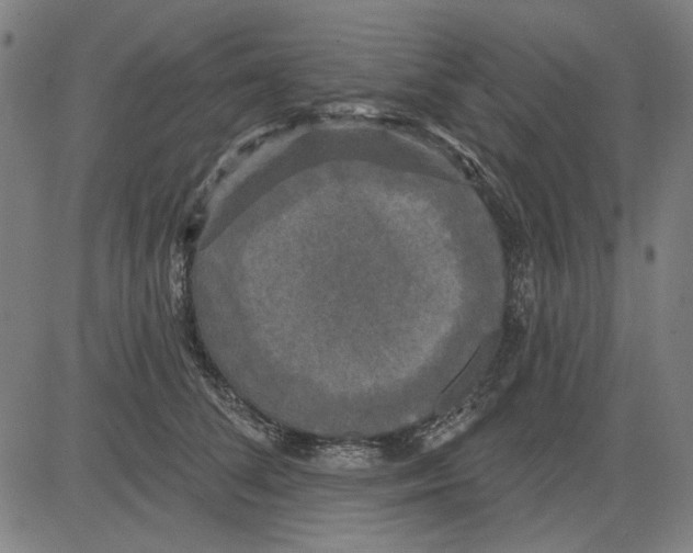 X0000083650708200703121745