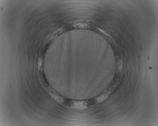 X0000083650709200703121745