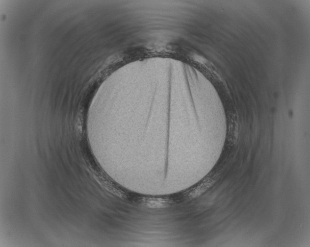 X0000083650710200703121745