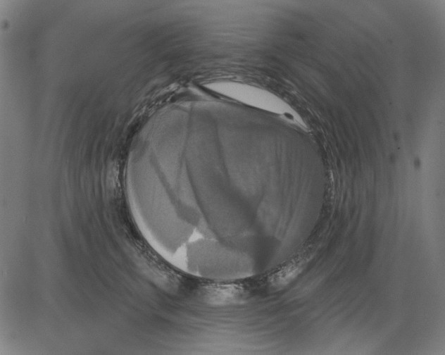 X0000083650711200703121745