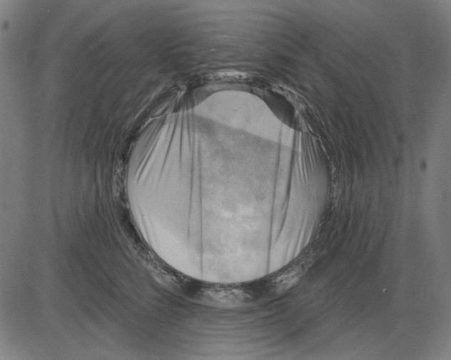 X0000083650712200703121745