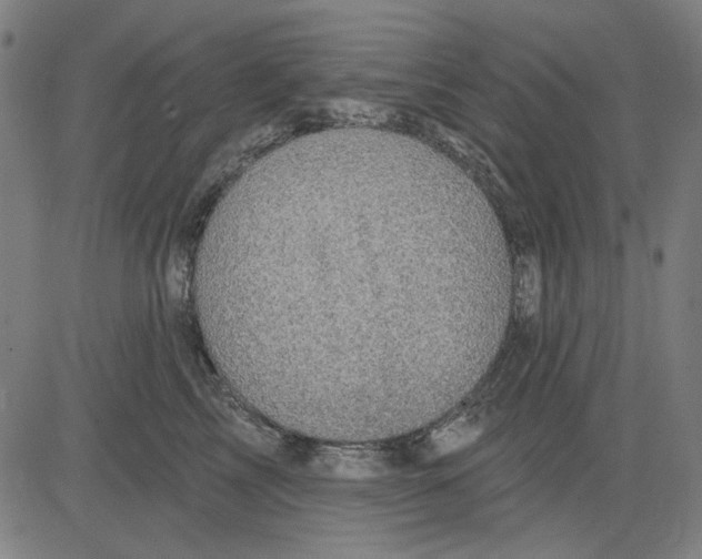 X0000083650713200703121745