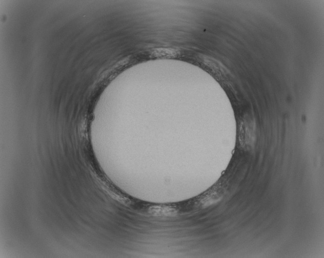 X0000083650714200703121745