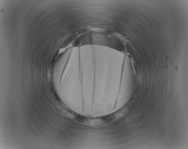 X0000083650716200703121745