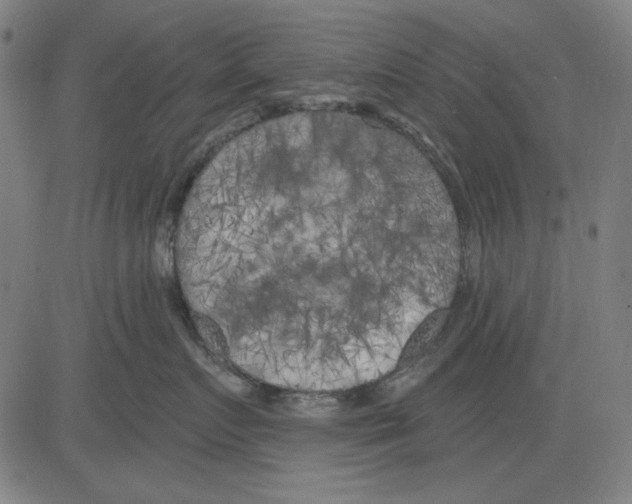 X0000083650719200703121745