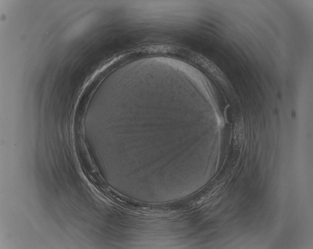 X0000083650722200703121744