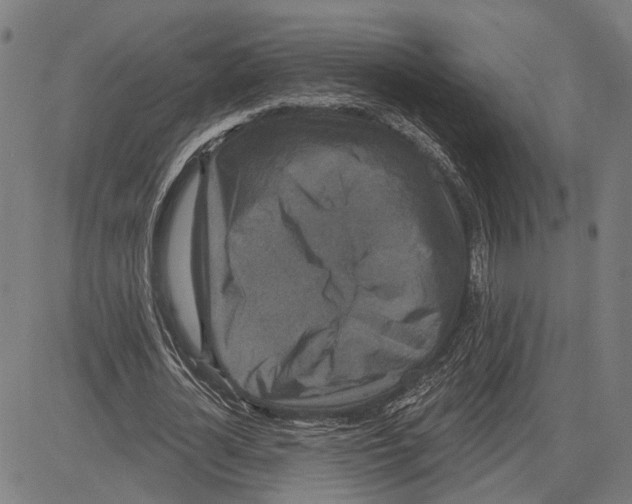 X0000083650724200703121745