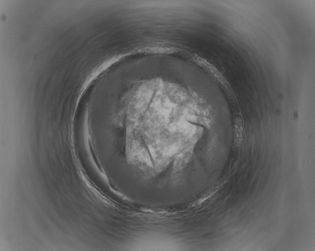 X0000083650726200703121745