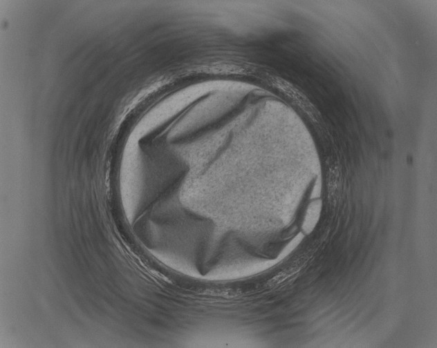 X0000083650727200703121745