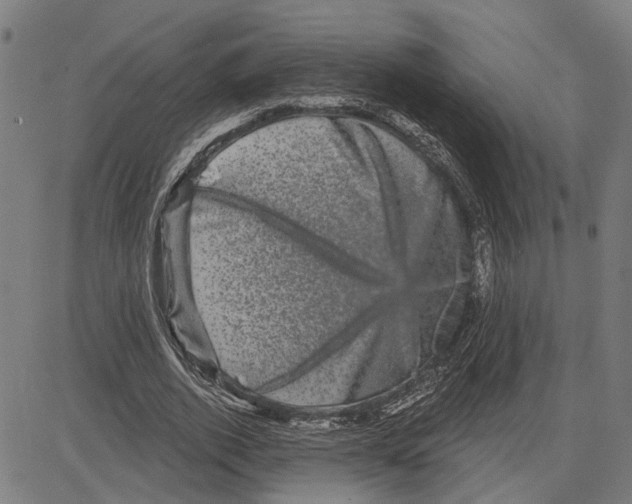 X0000083650728200703121745