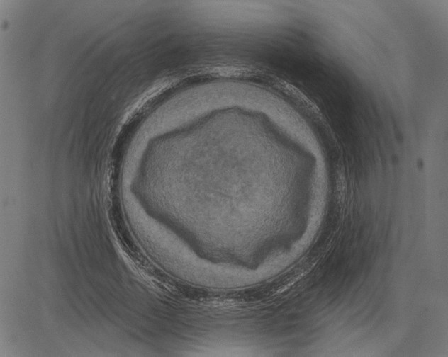 X0000083650730200703121745