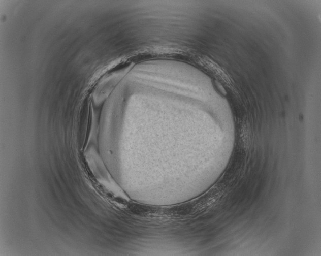 X0000083650732200703121745